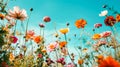 An assortment of vibrant blooming flowers with a blue sky background