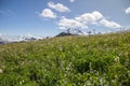 Alpine meadows, Mt. Baker and fluffy white clouds, North Cascades Royalty Free Stock Photo