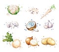 Assortment of white, light color foods, watercolor fruit and vegetables