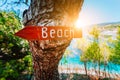 Assos village in morning sun beam light, Kefalonia. Greece. Beach wooden arrow sign on a pine tree showing direction to