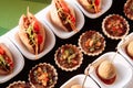 Assoted European style Canapes with tart, sandwich and more