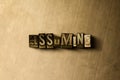 ASSUMING - close-up of grungy vintage typeset word on metal backdrop Royalty Free Stock Photo