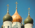 Assumption Cathedral in Kolomna. Domes of an old Russian church. Domes of the Russian Orthodox Church. Royalty Free Stock Photo