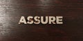 Assure - grungy wooden headline on Maple - 3D rendered royalty free stock image