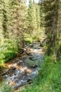 Assy plateau in Tien-Shan mountain in Almaty, Kazakhstan,Asia at summer. Royalty Free Stock Photo