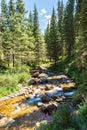 Assy plateau in Tien-Shan mountain in Almaty, Kazakhstan,Asia at summer Royalty Free Stock Photo