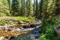 Assy plateau in Tien-Shan mountain in Almaty, Kazakhstan,Asia at summer Royalty Free Stock Photo