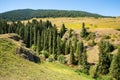 Assy plateau in Tien-Shan mountain in Almaty, Kazakhstan,Asia at summer. Royalty Free Stock Photo