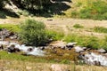 Assy plateau in Tien-Shan mountain in Almaty, Kazakhstan,Asia at summer Royalty Free Stock Photo