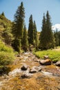 Assy plateau in Tien-Shan mountain in Almaty, Kazakhstan,Asia at summer. Royalty Free Stock Photo