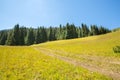 Assy plateau in Tien-Shan mountain in Almaty, Kazakhstan,Asia at summer.