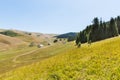 Assy plateau in Tien-Shan mountain in Almaty, Kazakhstan,Asia at summer.