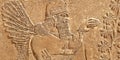 Assyrian wall relief of winged genius Royalty Free Stock Photo