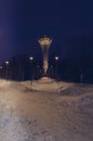 Astana-Baiterek view on winter night