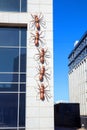 Metal ants crawl up wall. Unusual sculptures on the streets of the city