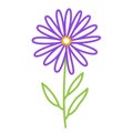 Aster. Doodle flower with stem and leaf. Vector hand drawn color sketch Royalty Free Stock Photo