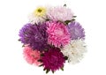 Aster flower bouquet closeup