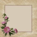 Aster flowers composition and frame