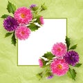 Aster flowers composition and frame Royalty Free Stock Photo