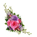 Aster and rose flowers corner arrangement Royalty Free Stock Photo