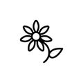 Asteraceae flower icon. Simple line, outline vector elements of botanicals icons for ui and ux, website or mobile application