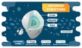 Asteroid structure cross section and asteroid types vector illustration diagram.