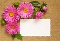 Asters and a card on canvas background Royalty Free Stock Photo