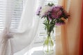 Asters in a glass vase on a windowsill Royalty Free Stock Photo