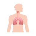 Asthma Normal Lungs Composition