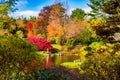 The Asticou Azalea Gardens on Mount Desert Island, Maine Royalty Free Stock Photo