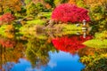 The Asticou Azalea Gardens on Mount Desert Island, Maine Royalty Free Stock Photo