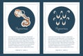 Astogical backgrounds with Aquarius zodiac sign symbols, place for text and wavy frame. Two templates for cards, leaflets, posters