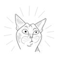 Astonished Burmese cat - black white drawing