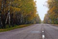 Astonishing rural landscape of empty asphalt road in autumn forest. Rows of birches along the road Royalty Free Stock Photo