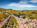 Astonishing spring view La Cinta beach with Tavolara island on background. Fresh green scene of Sardinia island, Italy, Europe. Be Royalty Free Stock Photo