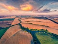 Astonishing summer view from flying drone of river in the shape of tree among the field of wheat. Royalty Free Stock Photo