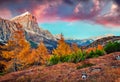 Astonishing view from top of Falzarego pass with Lagazuoi mountain. Fantastic autumn sunrise on Dolomite Alps, Cortina d`Ampezzo Royalty Free Stock Photo