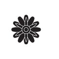 Astra flower black vector concept icon. Astra flower flat illustration, sign