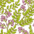 Astragalus vector pattern Royalty Free Stock Photo