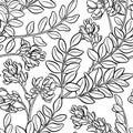 Astragalus seamless pattern Royalty Free Stock Photo
