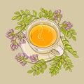 Astragalus tea illustration Royalty Free Stock Photo
