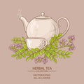 Astragalus tea illustration Royalty Free Stock Photo