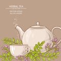 Astragalus tea illustration Royalty Free Stock Photo