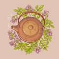 Astragalus tea illustration Royalty Free Stock Photo