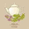 Astragalus tea illustration Royalty Free Stock Photo