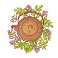 Astragalus tea in teapot Royalty Free Stock Photo