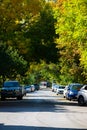 Astrakhan, Russia - October 06, 2019: Road sign Stopping is prohibited. Cozy city street or lane. Both sides are full of forests