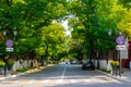 Astrakhan, Russia - October 06, 2019: Road sign Stopping is prohibited. Cozy city street or lane. Both sides are full of forests