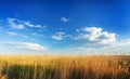 Astrakhan steppe under beautiful sky. Panorama of nature near salt lake Baskunchak