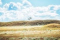 Astrakhan steppe under beautiful sky. Panorama of nature near salt lake Baskunchak